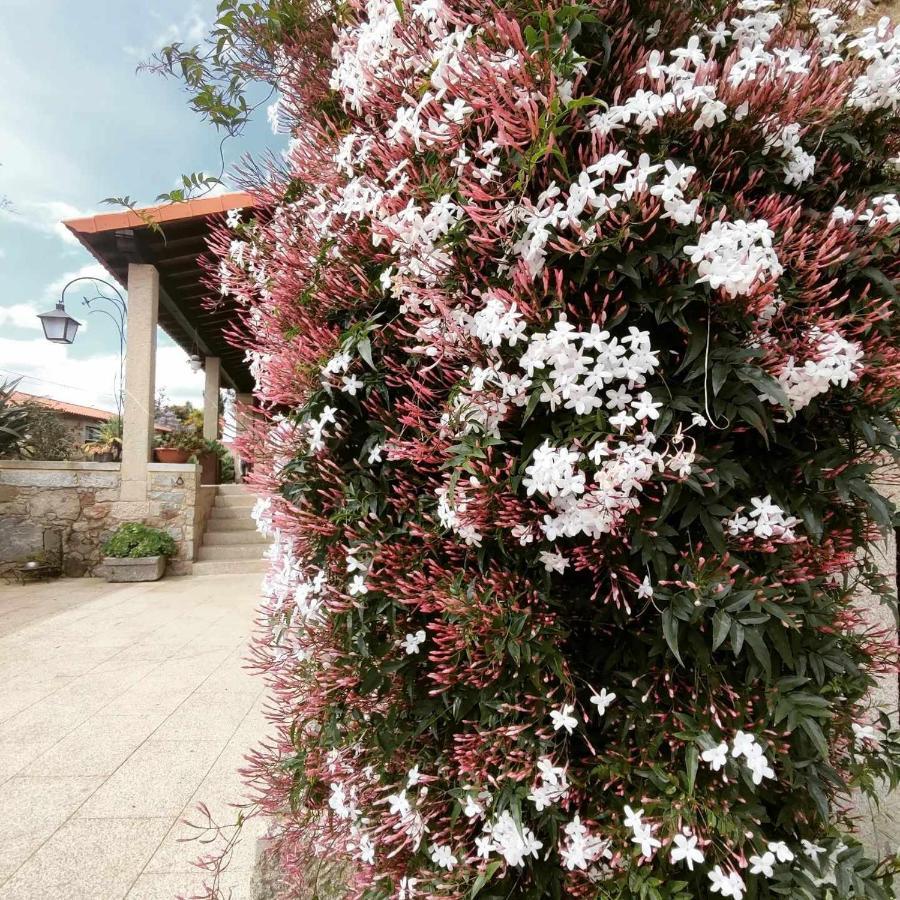 Casas Casal Do Carvalhal - Agroturismo Amares Exterior foto